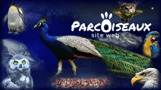 affiche-parcoiseaux